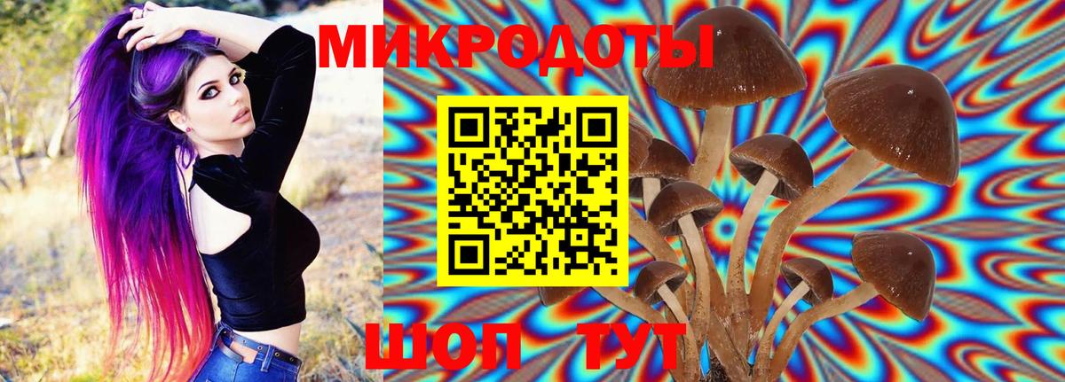 Галлюциногенные грибы Psilocybine cubensis Джанкой